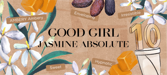 Good Girl Jasmine Absolute